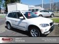 Alpine White - X5 xDrive30i Photo No. 1