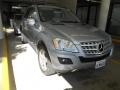 2010 Palladium Silver Metallic Mercedes-Benz ML 350  photo #1