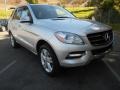 Iridium Silver Metallic - ML 350 4Matic Photo No. 1