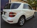 Arctic White - ML 350 4Matic Photo No. 6