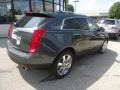Gray Flannel - SRX 4 V6 AWD Photo No. 6