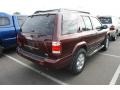 Merlot Pearl - Pathfinder SE 4x4 Photo No. 2