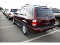 2002 Merlot Pearl Nissan Pathfinder SE 4x4  photo #3