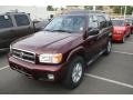 2002 Merlot Pearl Nissan Pathfinder SE 4x4  photo #4