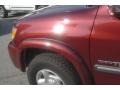Salsa Red Pearl - Tundra SR5 Access Cab 4x4 Photo No. 14