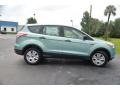 Frosted Glass Metallic 2013 Ford Escape S Exterior