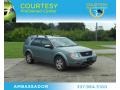 Titanium Green Metallic 2007 Ford Freestyle Limited