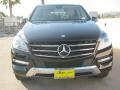 Black - ML 350 4Matic Photo No. 2