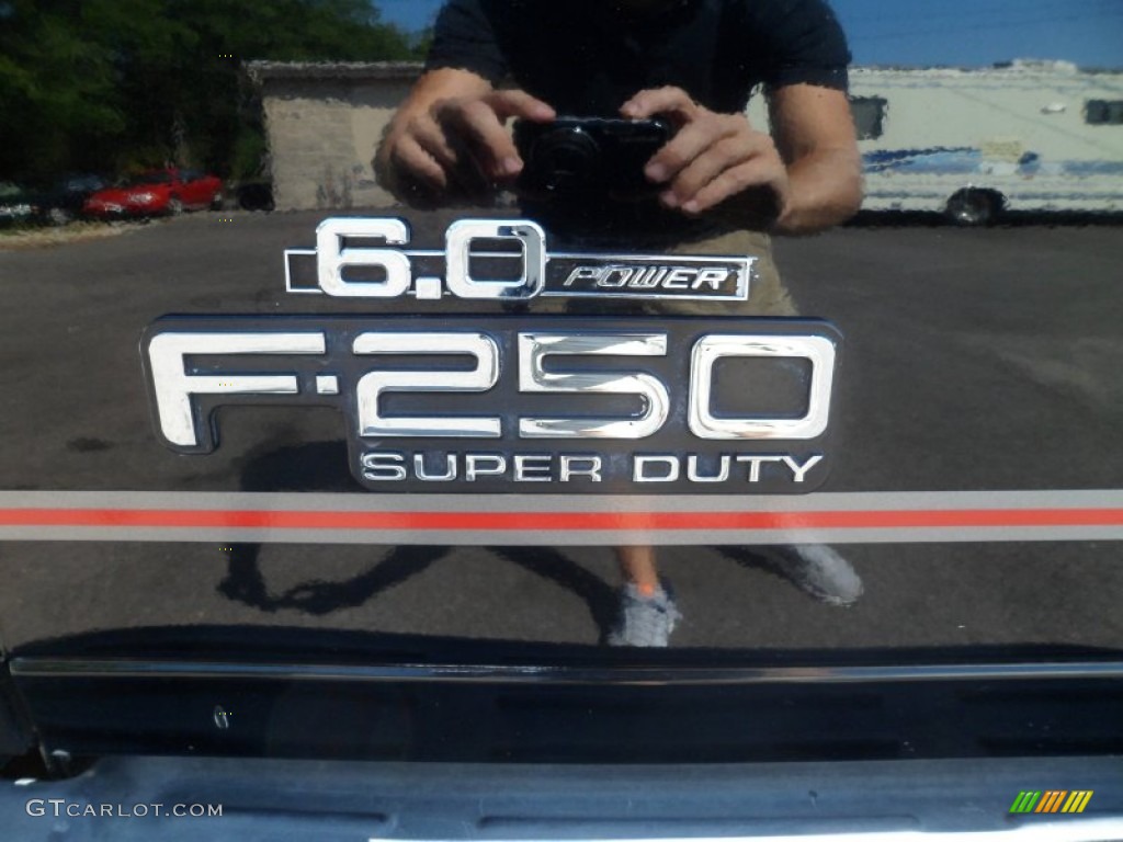 2004 F250 Super Duty FX4 Crew Cab 4x4 - Black / Medium Flint photo #17