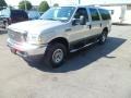 2003 Silver Birch Metallic Ford Excursion XLT 4x4  photo #8