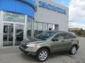 2008 Green Tea Metallic Honda CR-V EX 4WD  photo #1