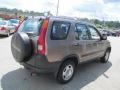 2002 Mojave Mist Metallic Honda CR-V LX 4WD  photo #6