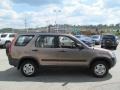 Mojave Mist Metallic - CR-V LX 4WD Photo No. 7
