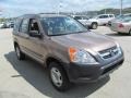 2002 Mojave Mist Metallic Honda CR-V LX 4WD  photo #8