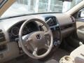 Mojave Mist Metallic - CR-V LX 4WD Photo No. 11