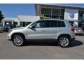 White Gold Metallic - Tiguan SE Photo No. 2