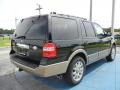 2012 Green Gem Metallic Ford Expedition King Ranch  photo #3