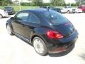 Black - Beetle 2.5L Photo No. 5