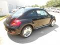 Black - Beetle 2.5L Photo No. 7
