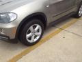 Platinum Bronze Metallic - X5 xDrive30i Photo No. 2