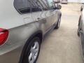 Platinum Bronze Metallic - X5 xDrive30i Photo No. 11