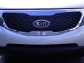 Bright Silver - Sorento LX Photo No. 6