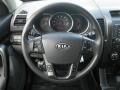 Bright Silver - Sorento LX Photo No. 36