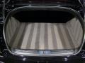 Beluga - Continental Flying Spur  Photo No. 14