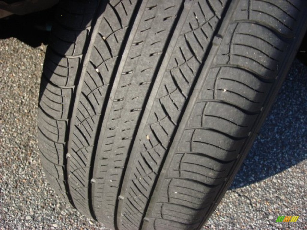 2010 EX 35 - Dark Current Red / Chestnut photo #22