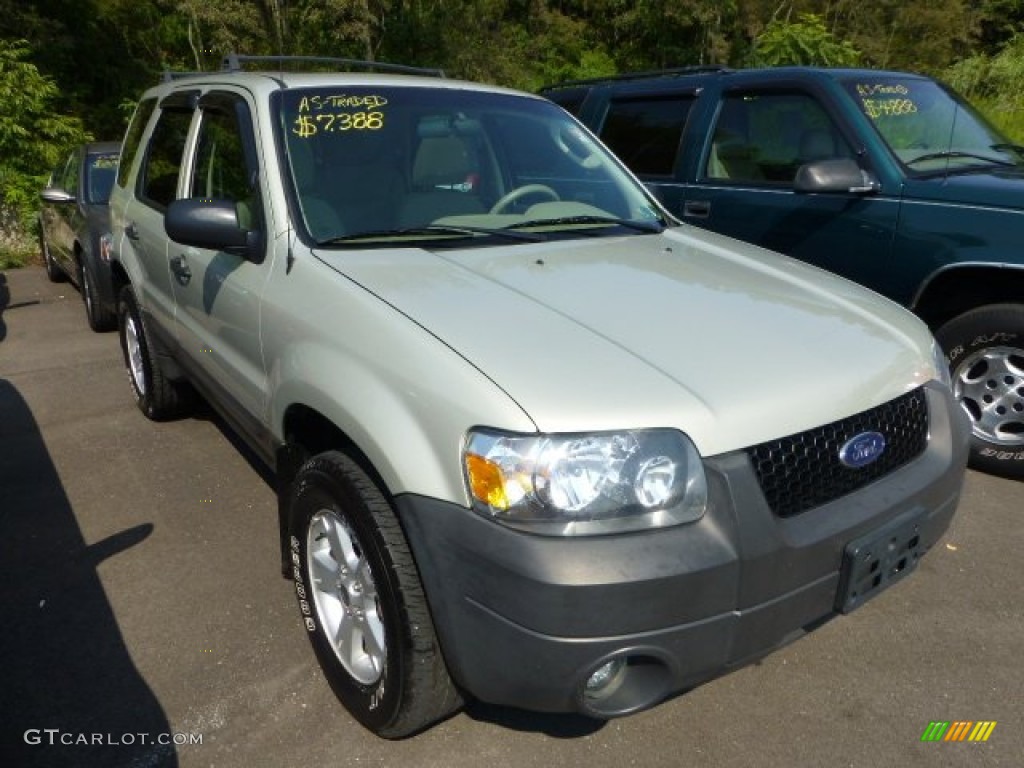 2005 Escape XLT V6 4WD - Gold Ash Metallic / Medium/Dark Pebble Beige photo #1