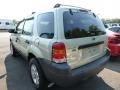 2005 Gold Ash Metallic Ford Escape XLT V6 4WD  photo #3