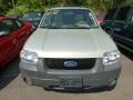 2005 Gold Ash Metallic Ford Escape XLT V6 4WD  photo #5