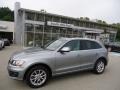 2009 Quartz Gray Metallic Audi Q5 3.2 Premium quattro #70133097