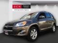 2010 Pyrite Metallic Toyota RAV4 Limited 4WD  photo #1