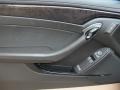 Ebony 2011 Cadillac CTS -V Coupe Door Panel
