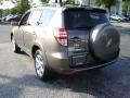 Pyrite Metallic - RAV4 Limited 4WD Photo No. 6