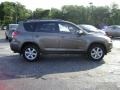 Pyrite Metallic - RAV4 Limited 4WD Photo No. 7