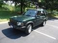 2004 Epsom Green Land Rover Discovery SE7  photo #3