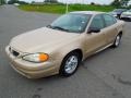 Champagne Beige Metallic 2003 Pontiac Grand Am SE Sedan