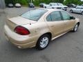 Champagne Beige Metallic 2003 Pontiac Grand Am SE Sedan Exterior