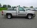 Silver Birch Metallic - Silverado 1500 Classic Work Truck Photo No. 3