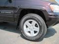 2004 Jeep Grand Cherokee Limited 4x4 Wheel and Tire Photo