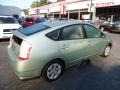 Silver Pine Mica - Prius Hybrid Photo No. 12