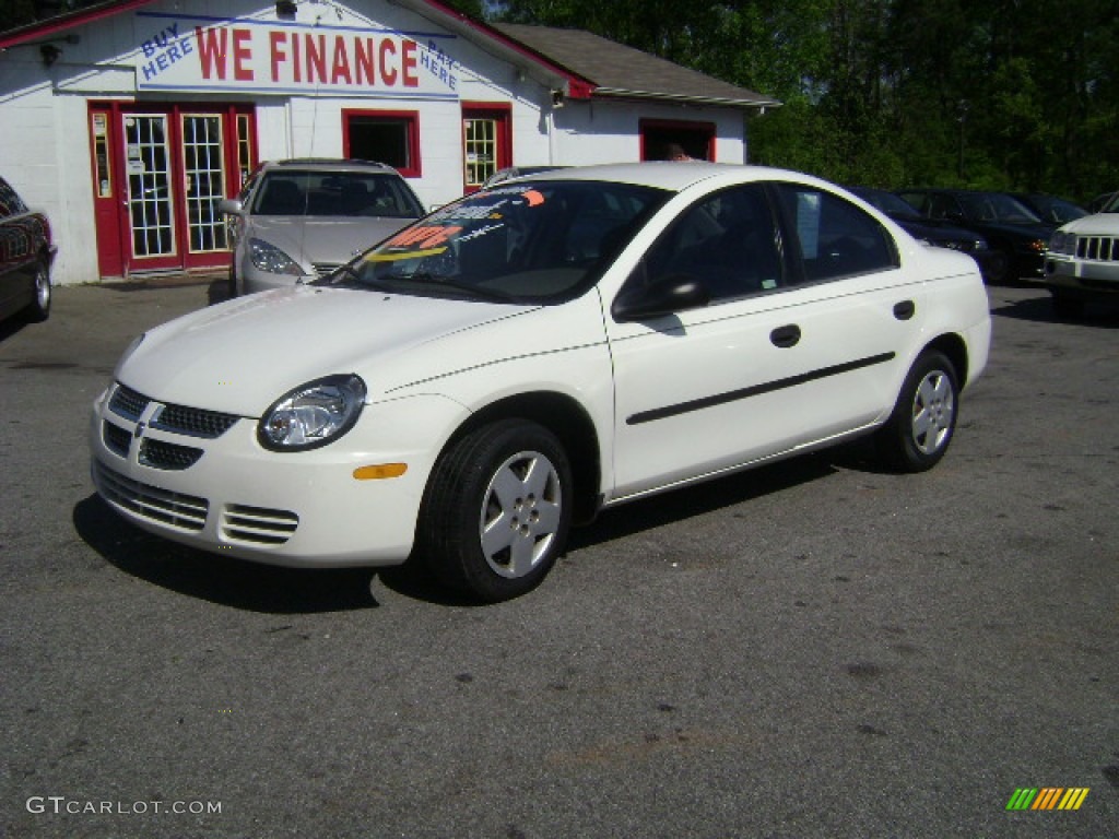 2004 Neon SE - Stone White / Dark Slate Gray photo #1