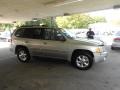 Liquid Silver Metallic - Envoy SLT 4x4 Photo No. 35