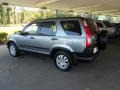 2006 Silver Moss Metallic Honda CR-V EX  photo #29