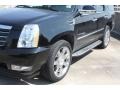 Black Raven - Escalade AWD Photo No. 3