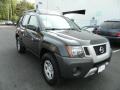 2010 Night Armor Metallic Nissan Xterra X 4x4  photo #8