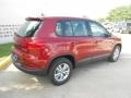 Wild Cherry Metallic - Tiguan S Photo No. 7