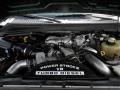 6.4L 32V Power Stroke Turbo Diesel V8 Engine for 2008 Ford F350 Super Duty King Ranch Crew Cab 4x4 #70225966